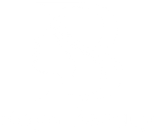 Roya Beauty